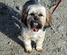 Mugsy